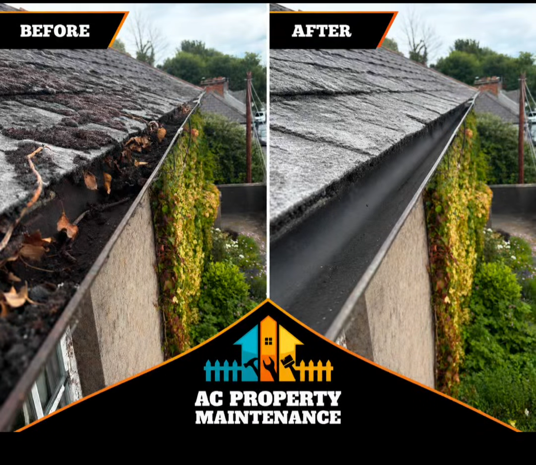 Roof and gutter cleaning before and after